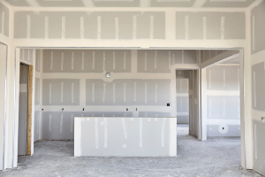 Professional Painter