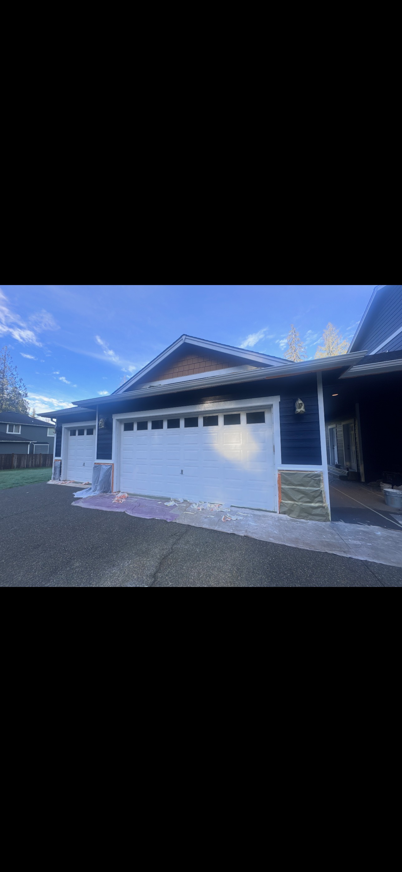 Garage Door Painting